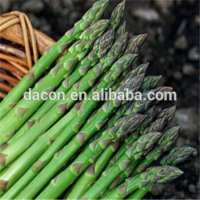 high quality frozen dried white or green asparagus