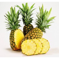 Frozen IQF Pineapple High Quality from Vietnam