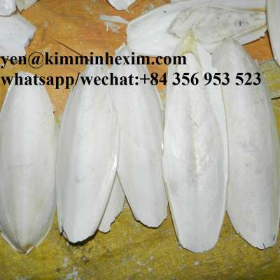 CUTTLEFISH BONE FOR BIRD - WHATSAPP: +84 356 953523